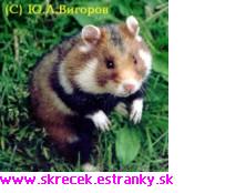 polny_m.jpg